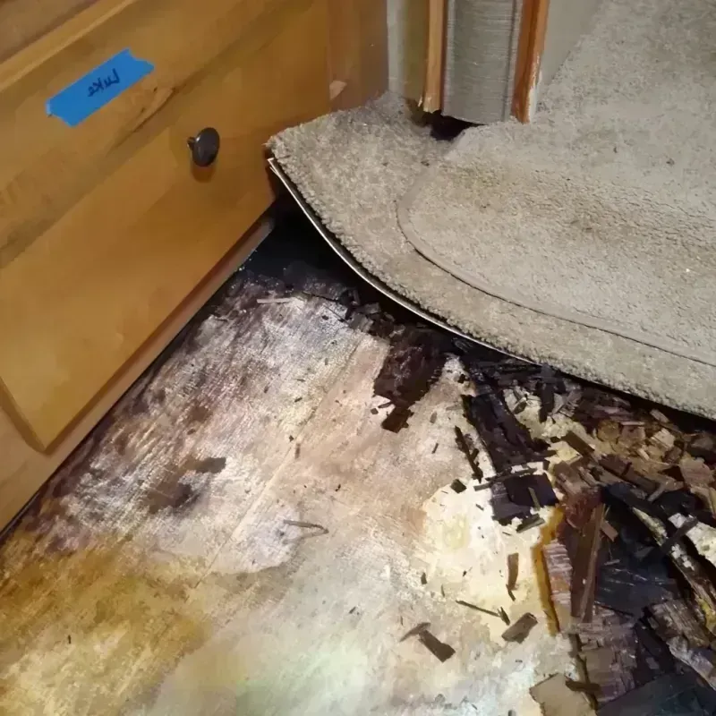 Best Wood Floor Water Damage Service in Guilford, PA